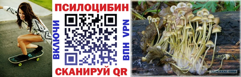 Псилоцибиновые грибы мухоморы  Купить где  Белоозёрский 